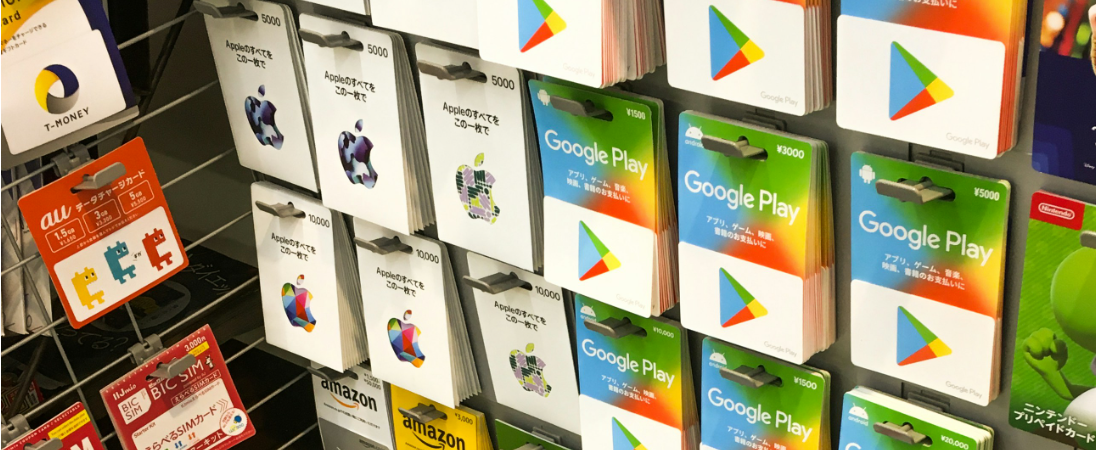 Travel without roaming charges