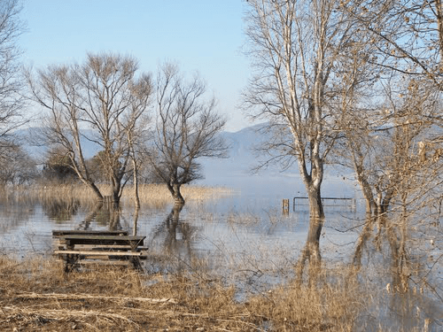Bare trees reflected in the calm waters of Lake Volvi with a picnic table on the shore and mountains in the distance