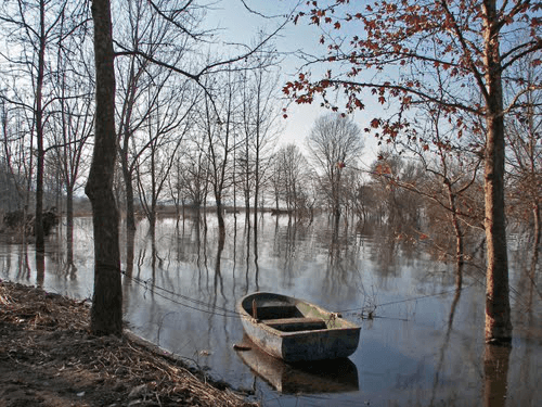 Small rowboat tied to trees in the calm, shallow waters of Lake Volvi's wetland area