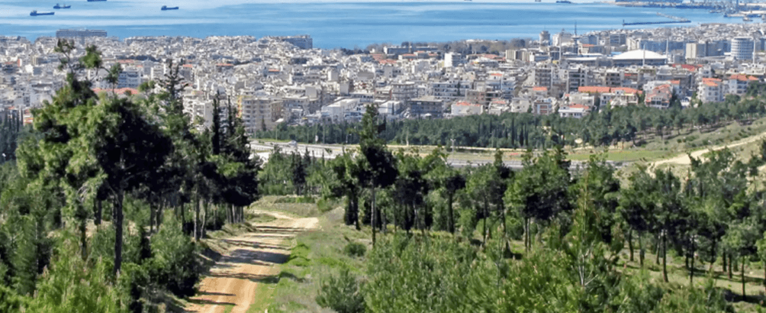 Escape to the forest of rue Sheikh Sou