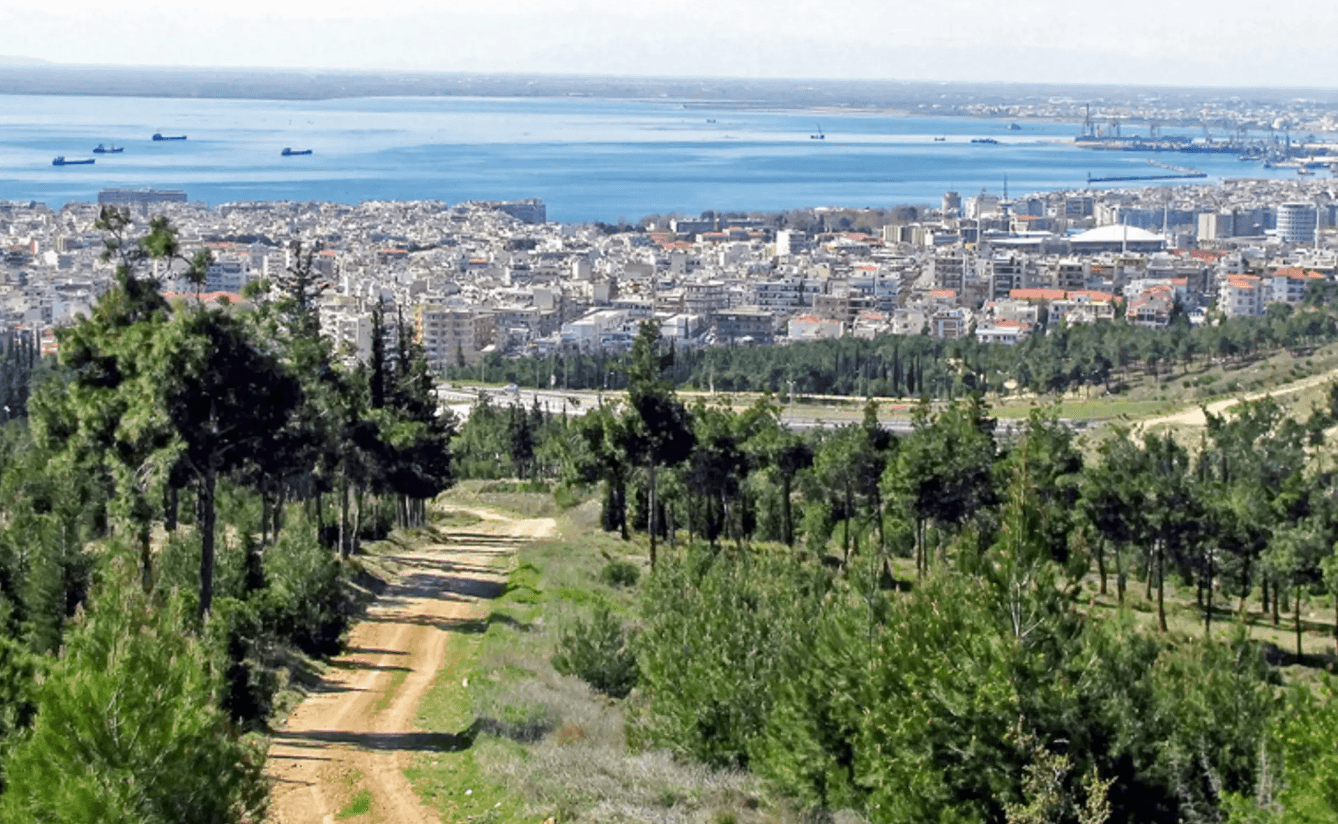 Escape to the forest of rue Sheikh Sou