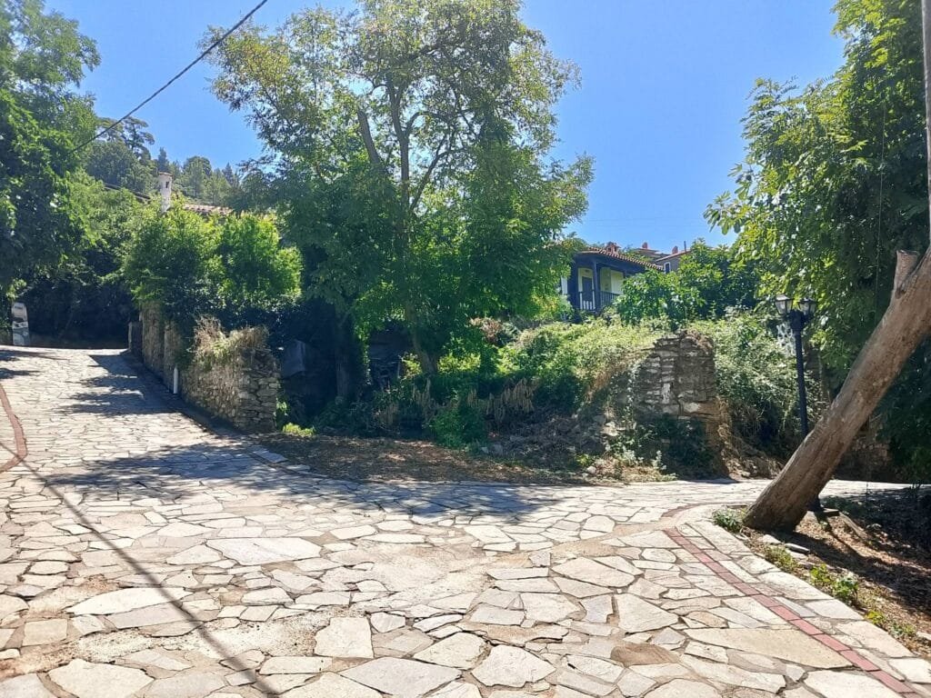 Stone-paved street in Parthenon village surrounded by lush greenery and traditional stone walls