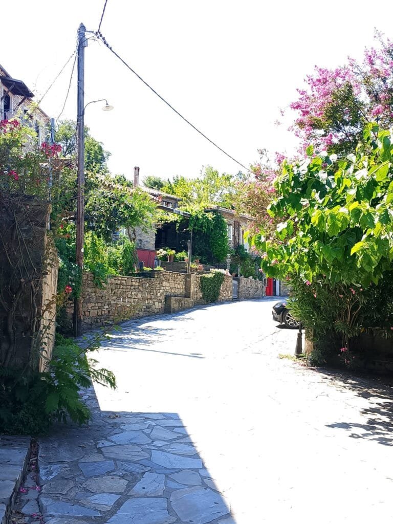 Sunlit stone-paved street in Parthenon village surrounded by lush green trees and vibrant pink flowers