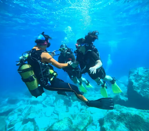 Enjoy your first diving experience in the Sithonia area. 
