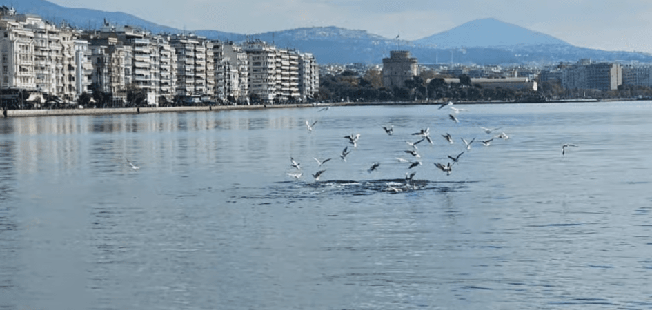 Thessaloniki: City Highlights Guided Walking Tour