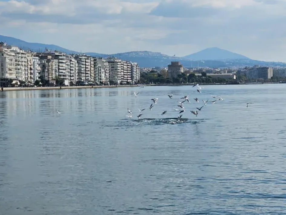 Thessaloniki: City Highlights Guided Walking Tour