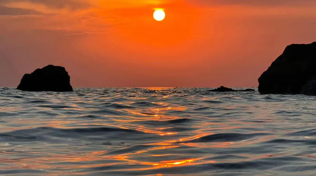 Thessaloniki: Halkidiki/Sithonia Swim, Sunset & Olive Tour