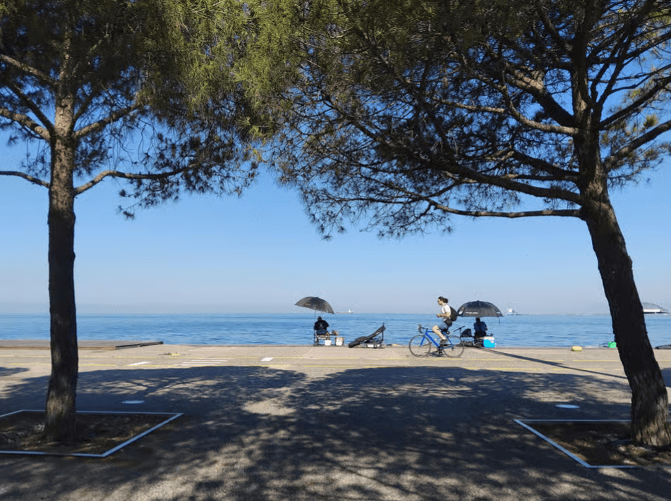 Nea Paralia promenade in Thessaloniki framed by two pine trees, with a cyclist and people fishing by the sea