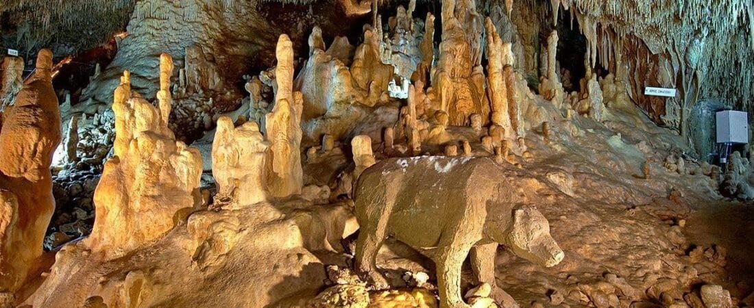 VISIT THE CAVE OF PETRALONA