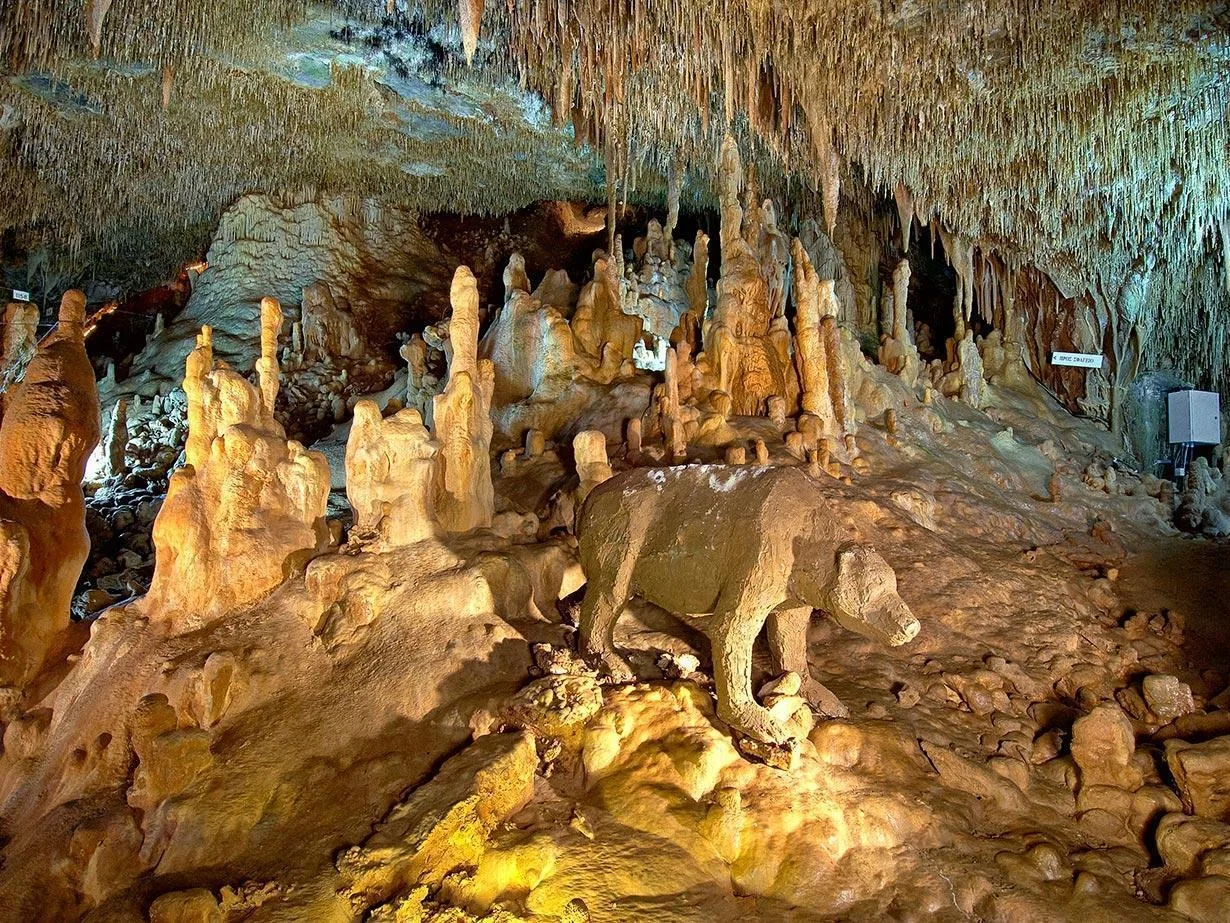 VISIT THE CAVE OF PETRALONA